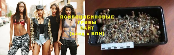 таблы Алзамай