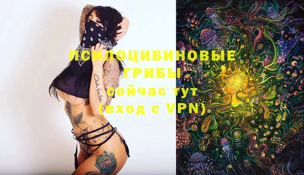 таблы Алзамай