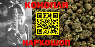 мдпв Славгород