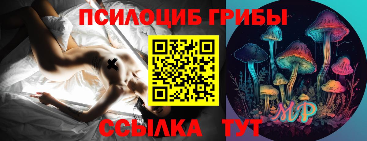 Хасавюрт  Галлюциногенные грибы ЛСД  Галлюциногенные грибы мухоморы  Вход с VPN 