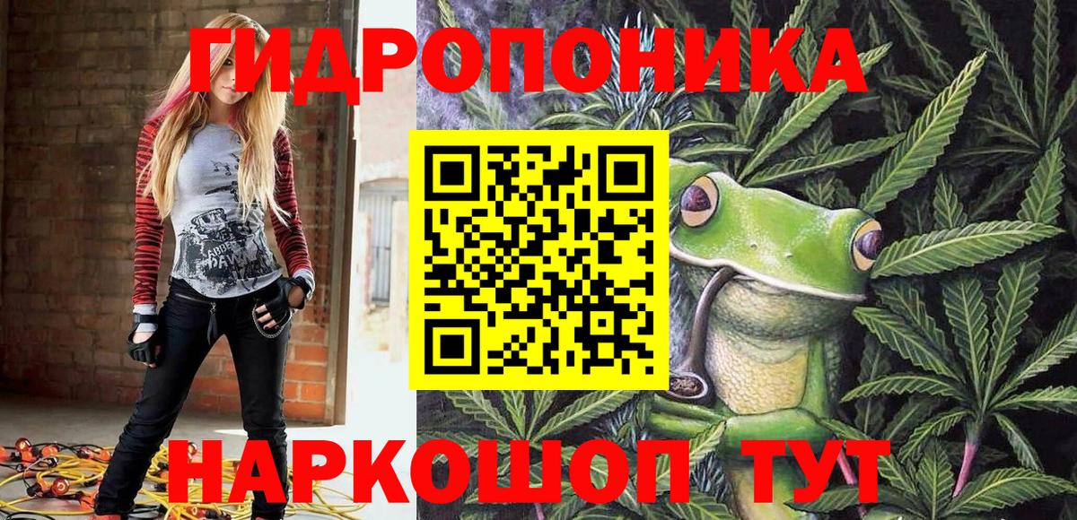 Каннабис план  Вход с VPN  Конопля сатива  Каннабис AK-47  Хасавюрт 
